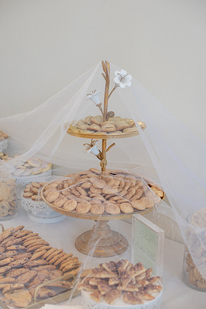 ColbertWedding-455