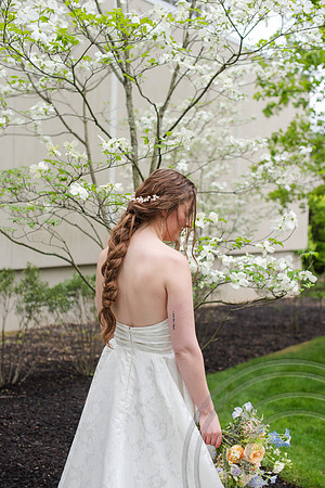 ColbertWedding-146