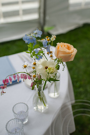 ColbertWedding-212