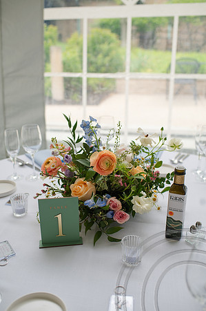 ColbertWedding-214