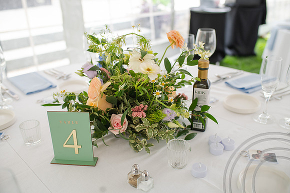 ColbertWedding-217