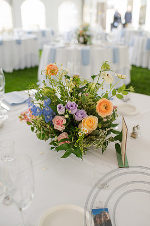 ColbertWedding-227