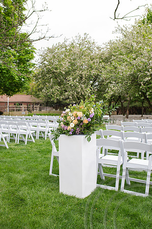 ColbertWedding-229