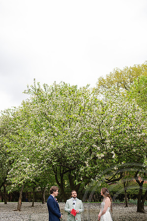 ColbertWedding-294