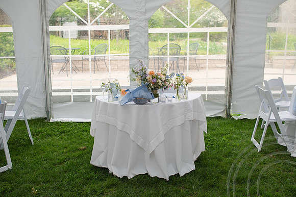 ColbertWedding-397