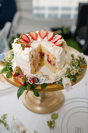 ColbertWedding-499