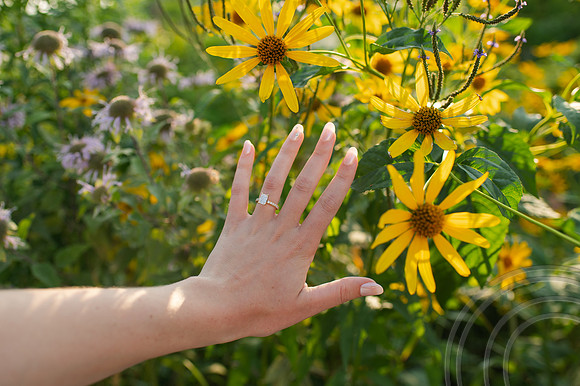 MR-Engagement-21