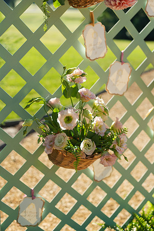 IvyBarn25-21