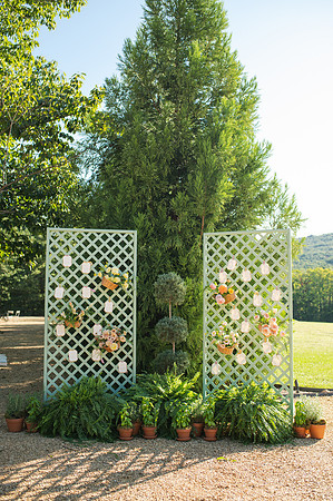 IvyBarn25-19