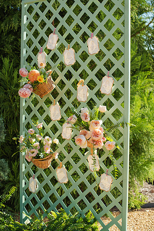 IvyBarn25-23