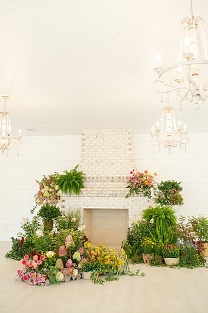 IvyBarn25-77