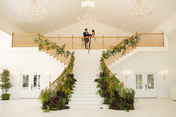 IvyBarn25-101