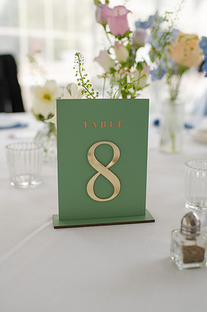 ColbertWedding-219