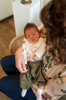 Lavinia-2