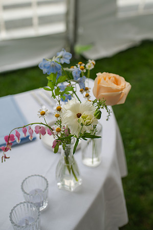 ColbertWedding-212