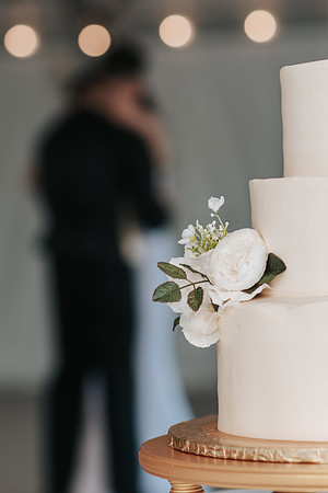 RobisonWedding-340