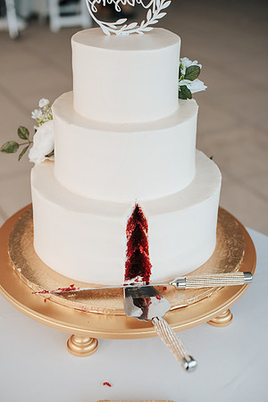 RobisonWedding-396