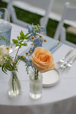 ColbertWedding-441