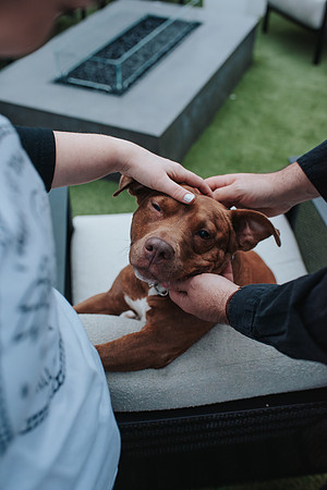 JB-Engagement-54