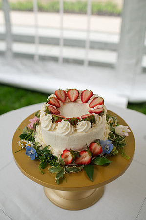 ColbertWedding-213