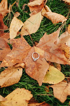 SH-Engagement-22
