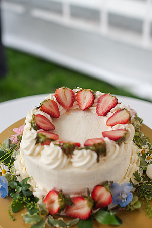 ColbertWedding-442