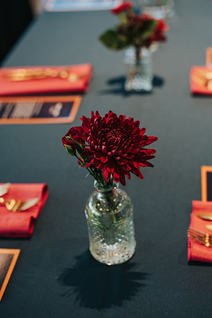 DoyleWedding-244