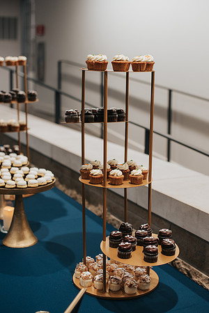 DoyleWedding-259