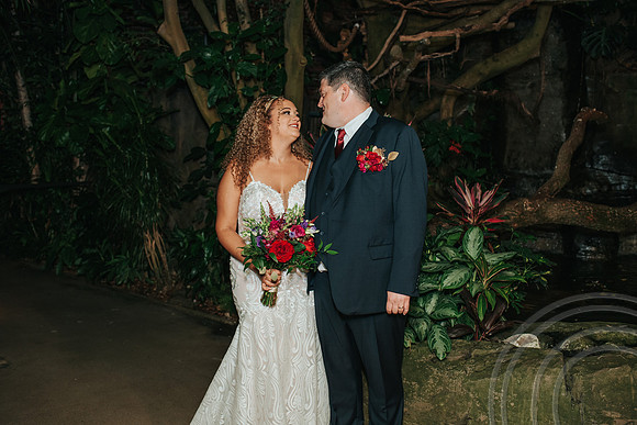 DoyleWedding-418