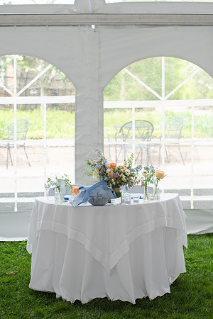 ColbertWedding-443