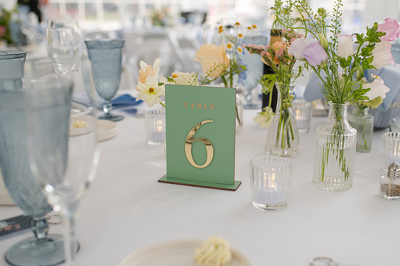 ColbertWedding-402
