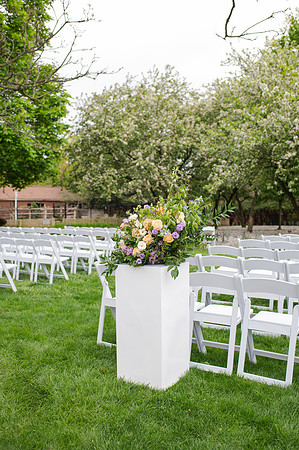 ColbertWedding-229