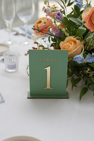 ColbertWedding-216