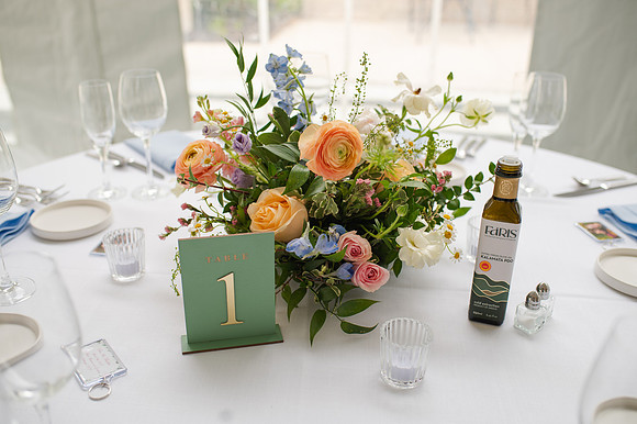 ColbertWedding-215