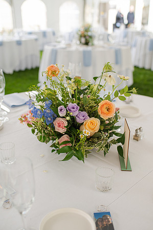 ColbertWedding-227