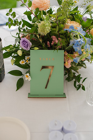 ColbertWedding-228