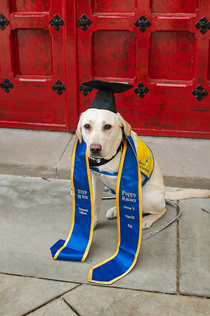 PittGrad25-32