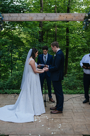 Vogel-366