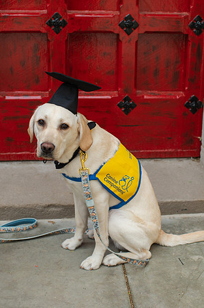 PittGrad25-29