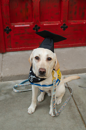PittGrad25-30