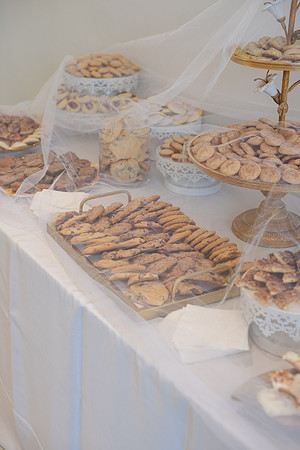 ColbertWedding-456