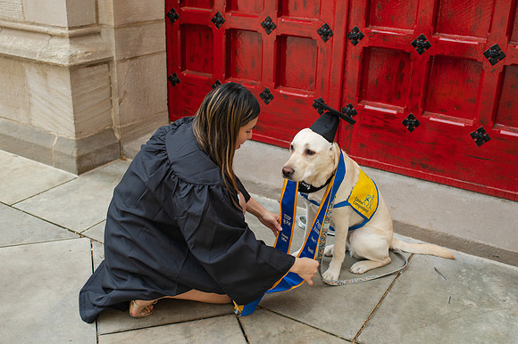PittGrad25-31