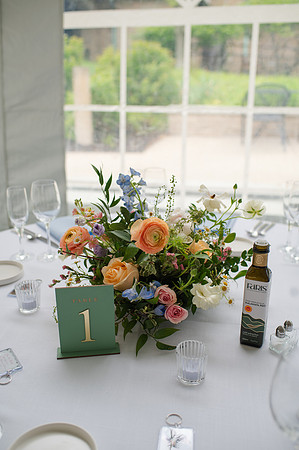 ColbertWedding-214