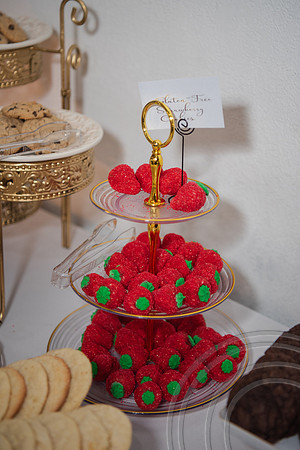 OwensWedding-480